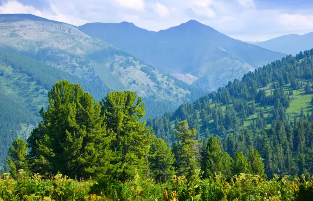 Nature